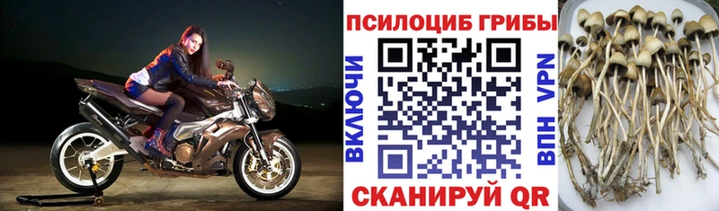 Галлюциногенные грибы ЛСД  купить  цена  Тарко-Сале 