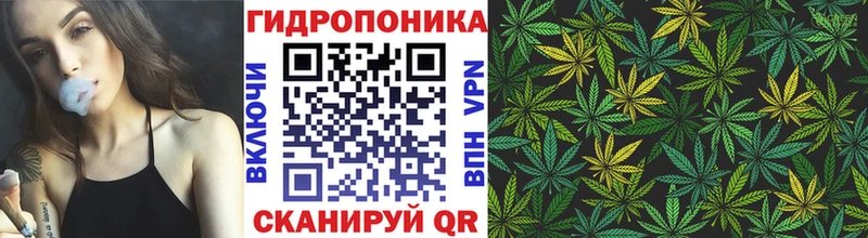 как найти наркотики  Тарко-Сале  Конопля Ganja 